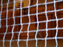 Gylli_2009