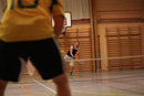 Gylli_2011